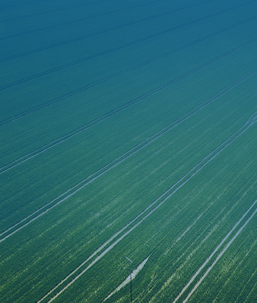 肥料養(yǎng)分檢測(cè)儀為農(nóng)業(yè)生產(chǎn)提供技術(shù)指導(dǎo)