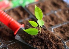 土壤養(yǎng)分檢測(cè)儀的應(yīng)用主要是在哪里？