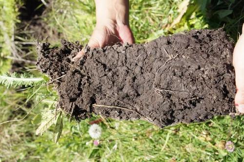 土壤PH檢測(cè)儀 土壤PH檢測(cè)儀