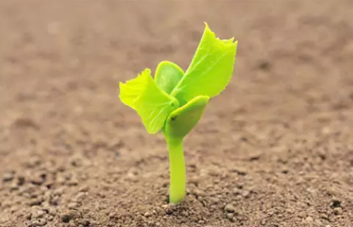 肥料養(yǎng)分檢測儀 肥料養(yǎng)分檢測儀